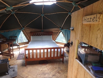 Hazel Geodome - Caravan parks with Pet Rooms in Fortrose