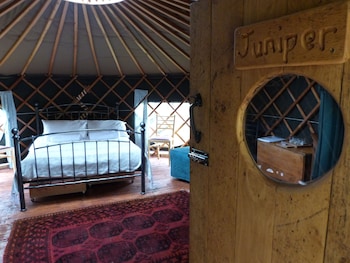 Juniper Yurt   Campsite - Caravan parks with Pet Friendly Rooms in Fortrose