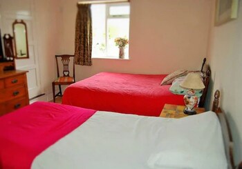 Beaumont Guest House - Guest houses with Pet Rooms in Ipswich